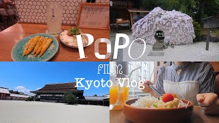 Trip Vlog｜京都ひとり旅 人混み嫌いによる観光地穴場探し👀｜安井金比羅宮、八坂神社、京都御所