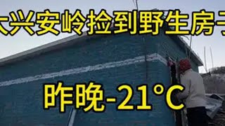 南方小伙子一个人在大兴安岭体验暴雪天气 没水没电晚上冻的睡不着，还意外见到一只狗狗老房改造 老房子改造 旅行vlog 老房子翻新改造装修设计