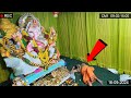 He Was Really lucky..! 🙏😲 See How This Priest Saved in The Ganesh Mandapam #ganeshchaturthi #bappa