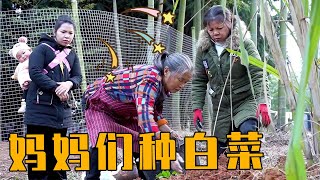 两个老妈去种白菜，英子一不小心透露了老妈养五六个小孩的生活【农村小英子】