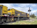 tasrail tr17 tr04 31 train hagley