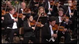 An der schönen blauen Donau - Fabio Luisi & Wiener Symphoniker - Frühling in Wien 2010