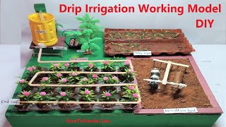 drip irrigation working model for science project | agriculture model DIY at home easily| howtofunda