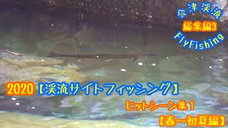 2020会津渓流FlyFishing【総集編3】渓流サイトフィッシング　ヒットシーン集1【春〜初夏編】