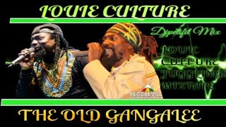Louie Culture Juggling Mixtape[The Best Of Old Gangalee] mix by djpetifit.