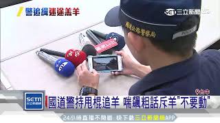 國道警持甩棍追羊　喘飆粗話斥羊「不要動」｜三立新聞台