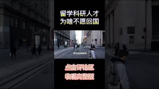 留学科研人才为何不愿回国？回国更惨？【傻白在美国】#shorts