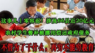 学校本应是一片滋养知识的净土，农村地区数十亿餐费被挪用，这事儿丨零容忍！农村学生餐补近20亿元被挪用偿还政府债务，挪用学生营养餐补助资金还债，欠孩子的债谁来还？20亿农村生餐补被挪用，谁是背后的手？