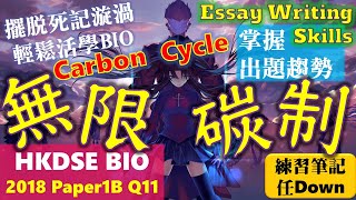 【Essay變Easy】【年年都考】DSE Bio│HKDSE 2018 1B Q11│carbon cycle 無限碳制│Faith Education│筆記任Down {雙語Bilingual}