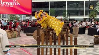 2022 Malaysia Traditional Lion Dance Championship 檳城大山腳魚池區忠華龍獅團