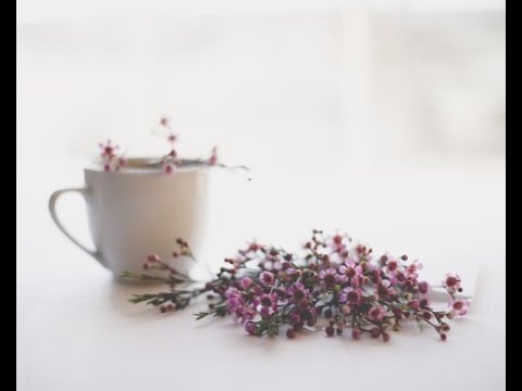Do Geraldton wax plants have invasive roots?