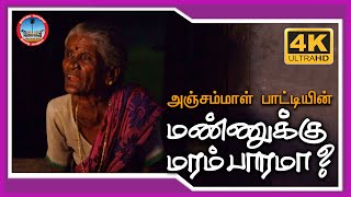 75 year old grandmother sing Mannukku Maram Parama Old song | மண்ணுக்கு மரம் பாரமா? பழைய தமிழ் பாடல்