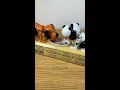 double dog piggy bank unboxing