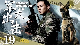 【精彩军旅剧】军犬出击19丨主演：杨烁，夏凡，王洋