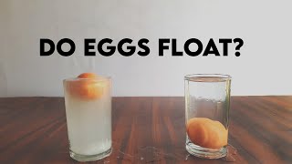 Does Egg Float On Salt Water ?