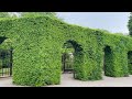 würzburg residence square and court gardens tour residenz würzburg germany 🇩🇪