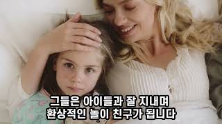 노리치 테리어 강아지의 역사  성격  특성에 관한 꿀 팁