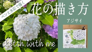 【sketch with me】アジサイの花を一緒に描こう！- ゆるく楽しくスケッチ