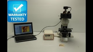 Leica DMLB Fluorescence Phase Contrast Microscope Pred DM4/DM6 [BOSTONIND] - 29255