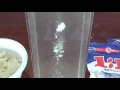 1204 1 1 funmatsu mash diffusin sean in the water