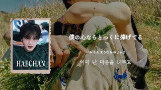 君を強く抱きしめてみる《  YOU (숲) / NCT DREAM  》【日本語訳・パート分け・カナルビ】