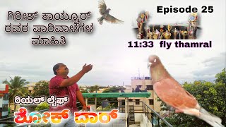 Real Life Shokdhar | Episode 25 | ಗಿರೀಶ್ ಕಾಯ್ಚೂರ್ ರವರ ಪಾರಿವಾಳಗಳ ಮಾಹಿತಿ