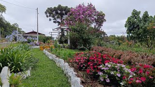 É hora de retornar os trabalhos no jardim!Tour pelo jardim florido!