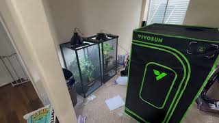 QUICK Vivosun NEW Grow Tent Pro Review | First Impressions #plants #indoorgarden #indoorgardening