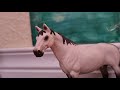 5 Arten von Lehrern || Schleich Video🐴