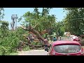 big trees are being cut on the side of the champaknagar to agartala road to make a big highway..