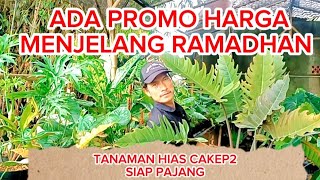 ADA PROMO HARGA MENJELANG RAMADHAN ‼️TANAMAN HIAS CAKEP2 SIAP PAJANG