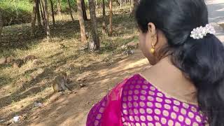 మంకీ కి తినిపించడం | Feeding Monkey's | Nallamala Forest | Nagarjuna sagar dam | Anuradha B