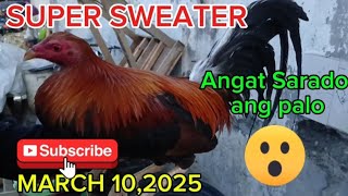 SUPER SWEATER AT MAGKAPATID NA RRZN KANAWAYON SUBRANG GWAPO (March 10 ,2025)