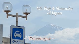 Mt. Fuji & Shizuoka 🇯🇵 Japan travel