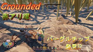 【Grounded】赤アリ装備を作るために赤アリ討伐！ついでに赤アリ塚の探索