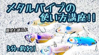 【5分で釣れ！】メタルバイブの使い方講座！【琵琶湖バス釣り】