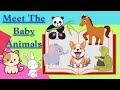 Meet Little Baby Animals | Baby Animals Song | Tunn Tunn Kids Song For Kids