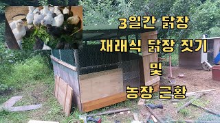 화이트, 실버, 블랙, 스플리쉬, 라벤더, 아메라우카나 대추 중추 35마리 살 새집이 완성되었습니다. 3일간 만들면서 근황영상