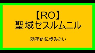 【RO】聖域セスルムニルを効率化したい