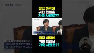 [한국농수산TV] 쌀값 하락에 귀한 햅쌀을 가축 사료로??