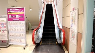 【東芝製】イオン高知旭町店　昇りエスカレーター