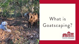 What is Goatscaping? 🐐