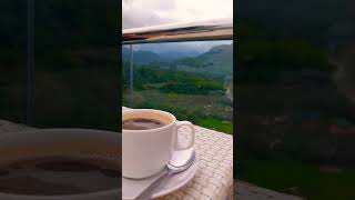 Mesmerizing View🤩 #coffee #view #mountain #nature #shorts