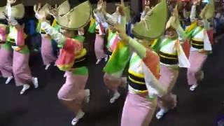 初台連／第8会場 1回目／第47回 初台阿波踊り2016