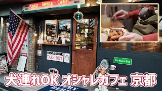 オシャレカフェ 京都 犬連れOK 北白川のアメリカンカフェ【Very Berry Cafe (ベリーベリーカフェ) 】極小チワワのミントとくるちゃんとお出かけ編