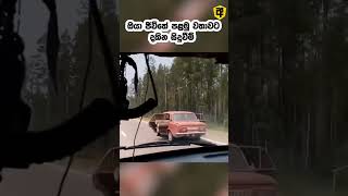 ඔයා ජිවිතේ පළමු වතාවට දකින සිදුවීම් | Caught on Camera 74