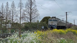 EF81-303 貨物列車 鶴崎〜大在