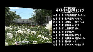 福島の花めぐりより Ｖｅｒ.  4Ｋ～ ふくしまの花ばな２０２３ ～