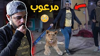 علي شاكر يطفر من الاسد😳فلوك مليان تحشيش 😂#يوميات_واحد_عراقي #طه_كمارو 🔥