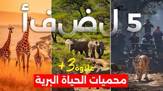 اكتشف أفضل محميات الحياة البرية حول العالم 🌎